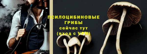 СК Волосово