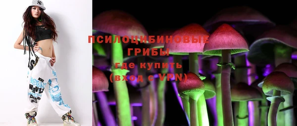 СК Волосово