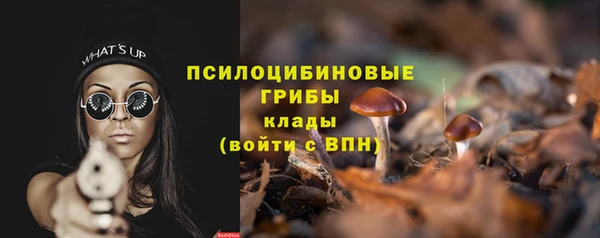 бошки Володарск
