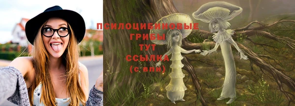 СК Волосово