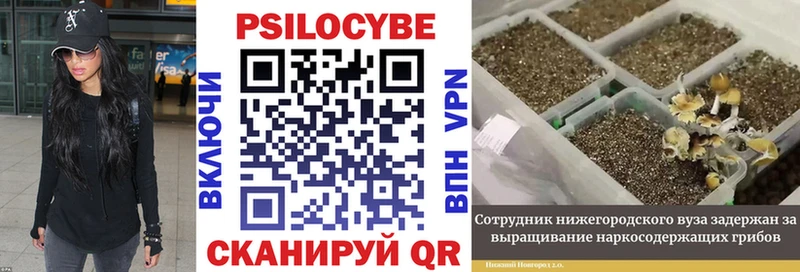 Псилоцибиновые грибы мухоморы  Купить где  Сатка 